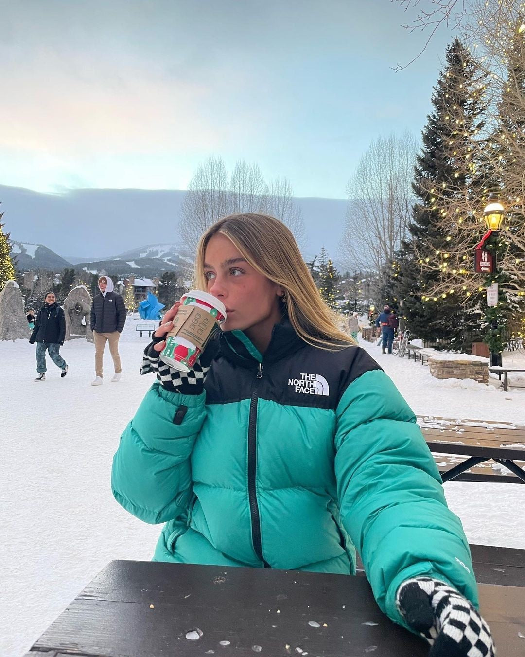 Chaqueta TNF 700